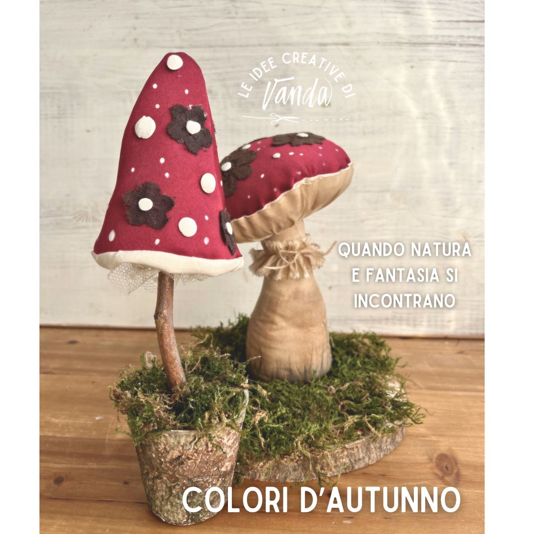 Kit Funghetti - Magazine n.9