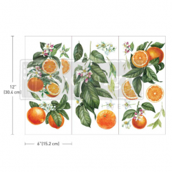 redesign transfer redesign citrus slice