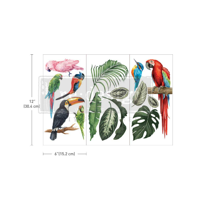 redesign transfer tropical birds