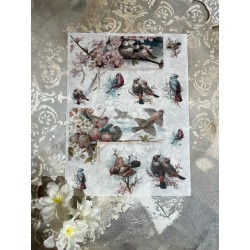 carta riso uccellini in primavera