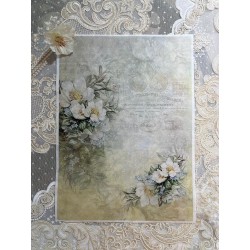 carta di riso francobolli e magnolie