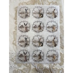 carta di riso medaglioni di conigli
