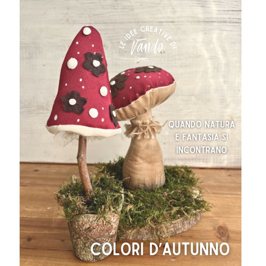 Kit Funghetti - Magazine n.9