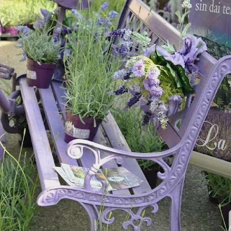 Love Paint - Colore LILLA